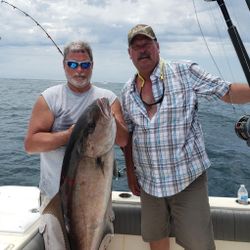 Amberjack Action in Gulf Shores